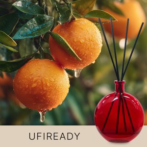 Bergamote & Juicy Orange – gebrauchsfertige UFIREADY-Mischung für Duftdiffusoren