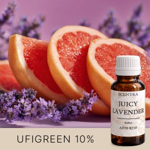 Grapefruithälften mit Lavendel auf violettem Hintergrund