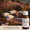 Picknickdecke zwischen Blumen und Bäumen im Morgenlicht.