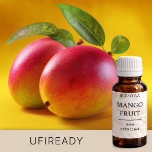 Zwei Mangos auf gelbem Hintergrund. AF70 11641