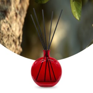 Gebrauchsfertige UFIREADY Diffusor-Mischung Bergamot & Cedar – Produktbild mit Duftmotiv