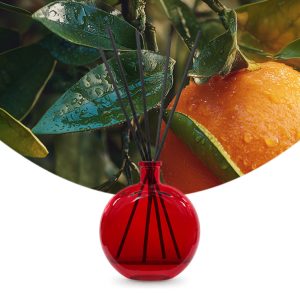 Gebrauchsfertige UFIREADY Diffusor-Mischung Bergamote & Juicy Orange – Produktbild mit Duftmotiv