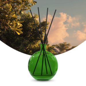 Gebrauchsfertige UFIGREEN Diffusor-Mischung Piemont Vineyard – Produktbild mit Duftmotiv
