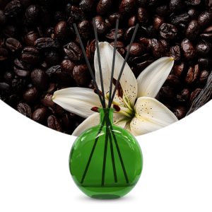 Gebrauchsfertige UFIGREEN Diffusor-Mischung Vanilla & Coffee Beans – Produktbild mit Duftmotiv