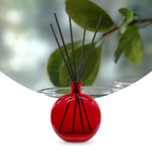 Gebrauchsfertige UFIREADY Diffusor-Mischung Z'aara Bergamot & White Tea – Produktbild mit Duftmotiv