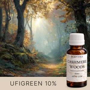 Goldener Weg im Wald, beleuchtet von der Herbstsonne.
