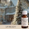 Duftöl – Christmas Time – 10 ml - 1000 ml