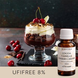 Ein Dessertbecher mit Schokolade, Creme, zerbröselten Keksen und Kirschen. – AF70 6466