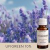 Lavendel im Tageslicht vor dem Hintergrund des Himmels.