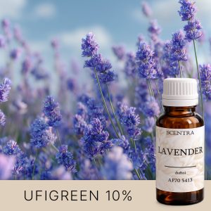 Lavendel im Tageslicht vor dem Hintergrund des Himmels.