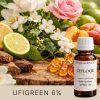 Duftöl – Ch'looe – 10 ml - 1000 ml