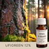 Duftöl – Kiefernwald – 10 ml - 1000 ml