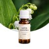 Lily of the Valley – Duftöl für feste Seifen
