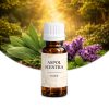 Duftöl – Salbei & Patchouli – 10 ml
