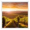 Tuscan Vineyard Duftöl für Kerzen – Produktansicht