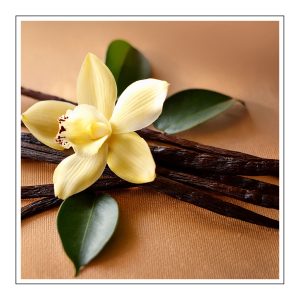 French Vanilla Duftöl für Kerzen – Produktansicht