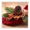 Smell Of Christmas Duftöl für Kerzen – Produktansicht
