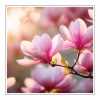 Magnolia Duftöl für Kerzen – Produktansicht
