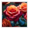 Fresh cut roses Duftöl für Kerzen – Produktansicht