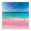 Pink Sands Duftöl für Kerzen – Produktansicht