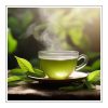 Green Tea Duftöl für Kerzen – Produktansicht