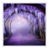 Wisteria Duftöl für Kerzen – Produktansicht