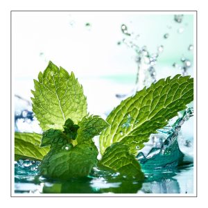 Mint Duftöl für Kerzen – Produktansicht