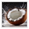 Coconut Duftöl für Kerzen – Produktansicht