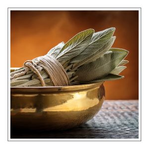 Sage Duftöl für Kerzen – Produktansicht