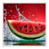 Watermelon Duftöl für Kerzen – Produktansicht