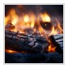 Burned Wood Duftöl für Kerzen – Produktansicht