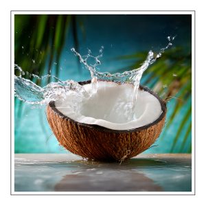 Coconut Sea Moss Duftöl für Kerzen – Produktansicht