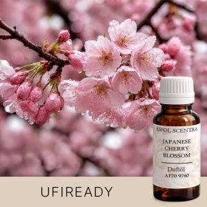 Japanische Kirschblüte Duftöl – Duftöl von ASPOL Scentra