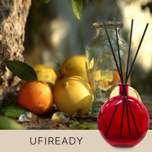 Gebrauchsfertige UFIREADY Diffusor-Mischung – Bergamot & Cedar – Produktansicht
