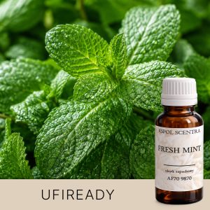 Fresh Mint UFIREADY Duftöl für Kerzen – Detailansicht 1