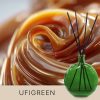 Gebrauchsfertige UFIGREEN Diffusor-Mischung – Liquid Caramel – Produktansicht