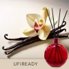 Gebrauchsfertige UFIREADY Diffusor-Mischung – Madagascar Vanilla – Produktansicht