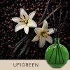 Gebrauchsfertige UFIGREEN Diffusor-Mischung – Vanilla & Coffee Beans – Produktansicht