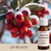 Winter-Cranberry Duftöl – Duftöl von ASPOL Scentra