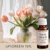 Tulpen-Anmut Duftöl – Duftöl von ASPOL Scentra