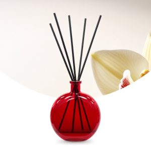 Gebrauchsfertige UFIREADY Diffusor-Mischung Madagascar Vanilla – Produktbild mit Duftmotiv